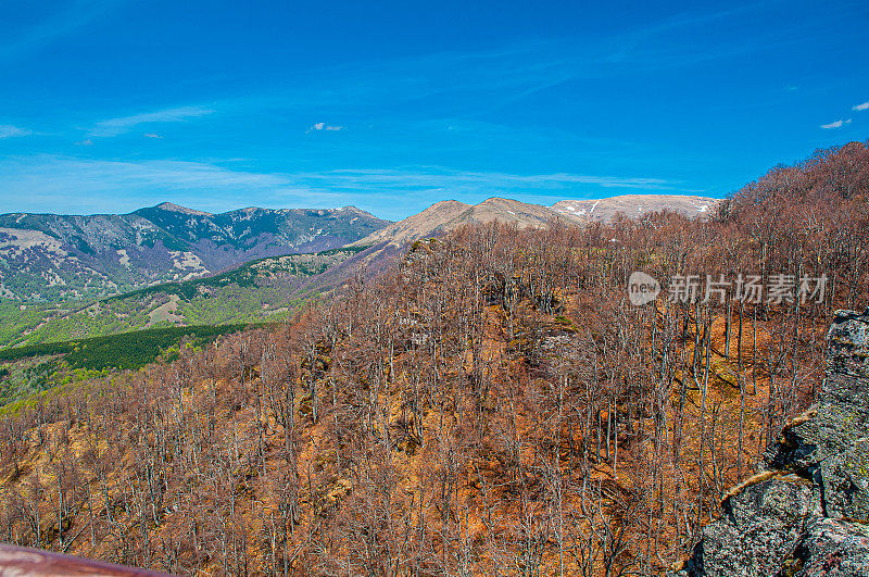 BabinBabin zub是塞尔维亚东南部Stara Planina山脉的一座山峰